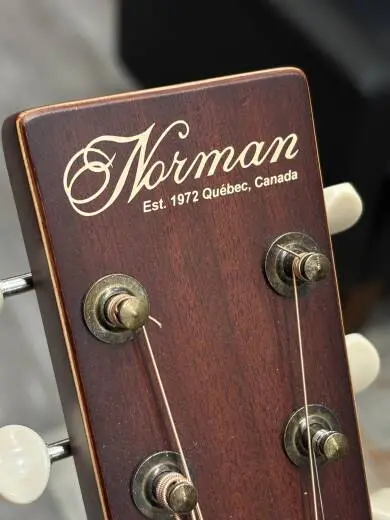 Norman - N48557 2